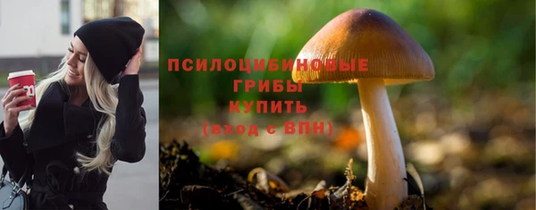 тгк Алексеевка