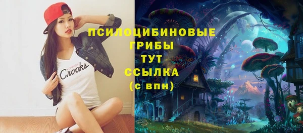 spice Алексин