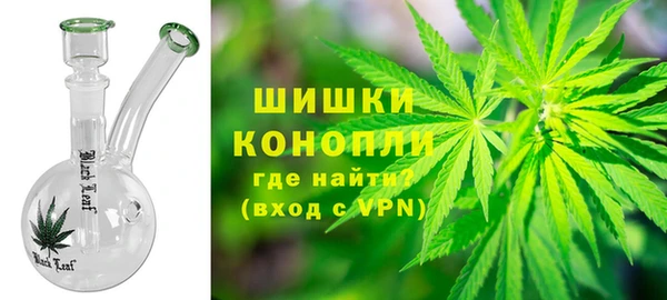 PSILOCYBIN Алзамай