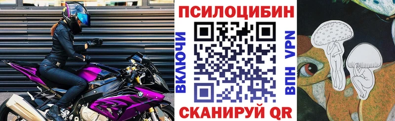 Псилоцибиновые грибы Psilocybe  Шелехов 
